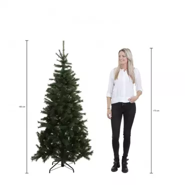 Kerstboom frosted pine d130h185cm groen