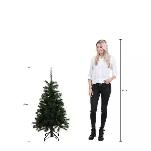 Regelen Aan boord neus Kerstboom frosted pine d99h120cm groen - Top Tuincentrum