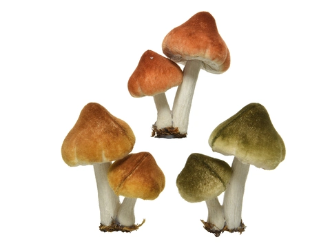 Kersthanger op clip paddenstoel 5x7x9cm