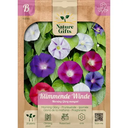 Klimmende winde morning glory mengsel 20st - afbeelding 1