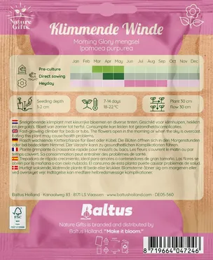 Klimmende winde morning glory mengsel 20st - afbeelding 2