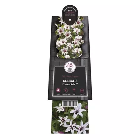 Klimplant Clematis Princess Kate - Lichtroze Bosrank - afbeelding 2