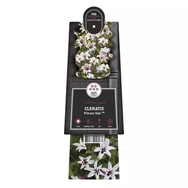 Klimplant Clematis Princess Kate - Lichtroze Bosrank - afbeelding 2