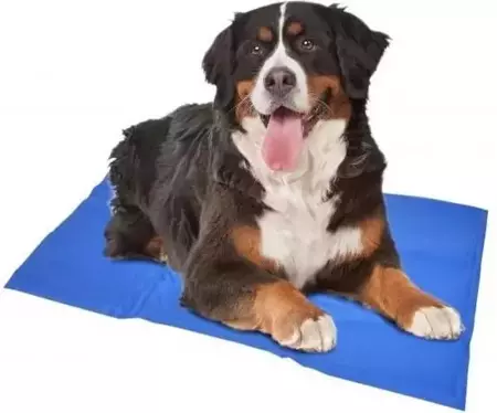 Duvo koelmat voor honden 50x65cm - Blauw