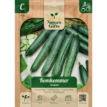 Komkommer gergana 35st - afbeelding 1