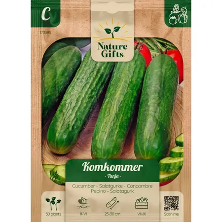 Komkommer tanja - afbeelding 1