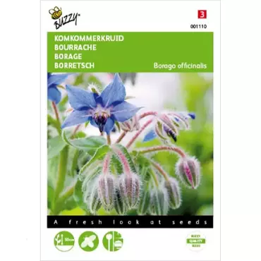 Borage, Komkommerkruid - afbeelding 1