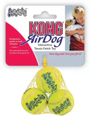 Kong Net a 3 tennisbal+piep m