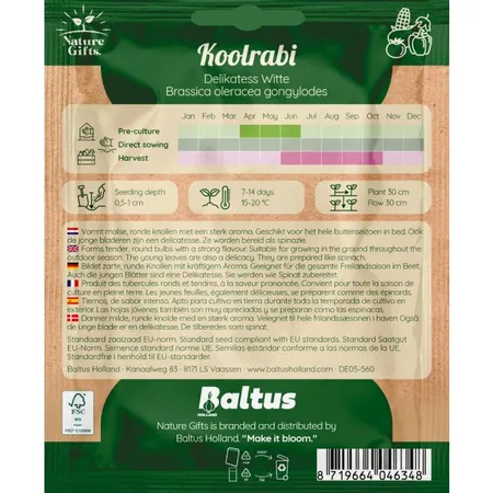Koolrabi delikatess witte 100st - afbeelding 2