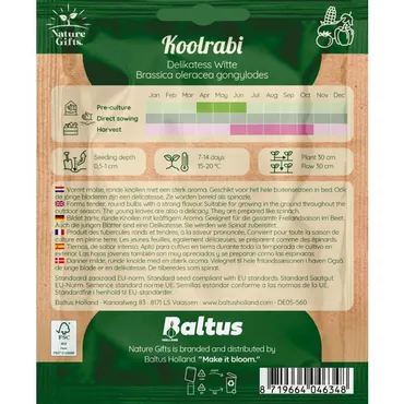 Koolrabi delikatess witte 100st - afbeelding 2