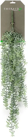 Koraalcactus hangend l72cm groen