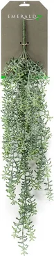 Koraalcactus hangend l72cm groen