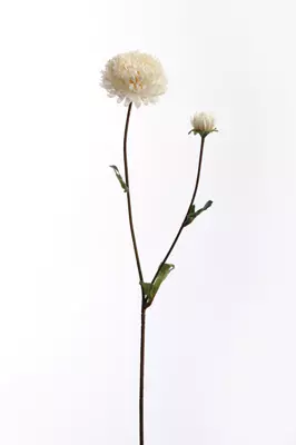 Kunstbloem Chrysant 65m - Creme
