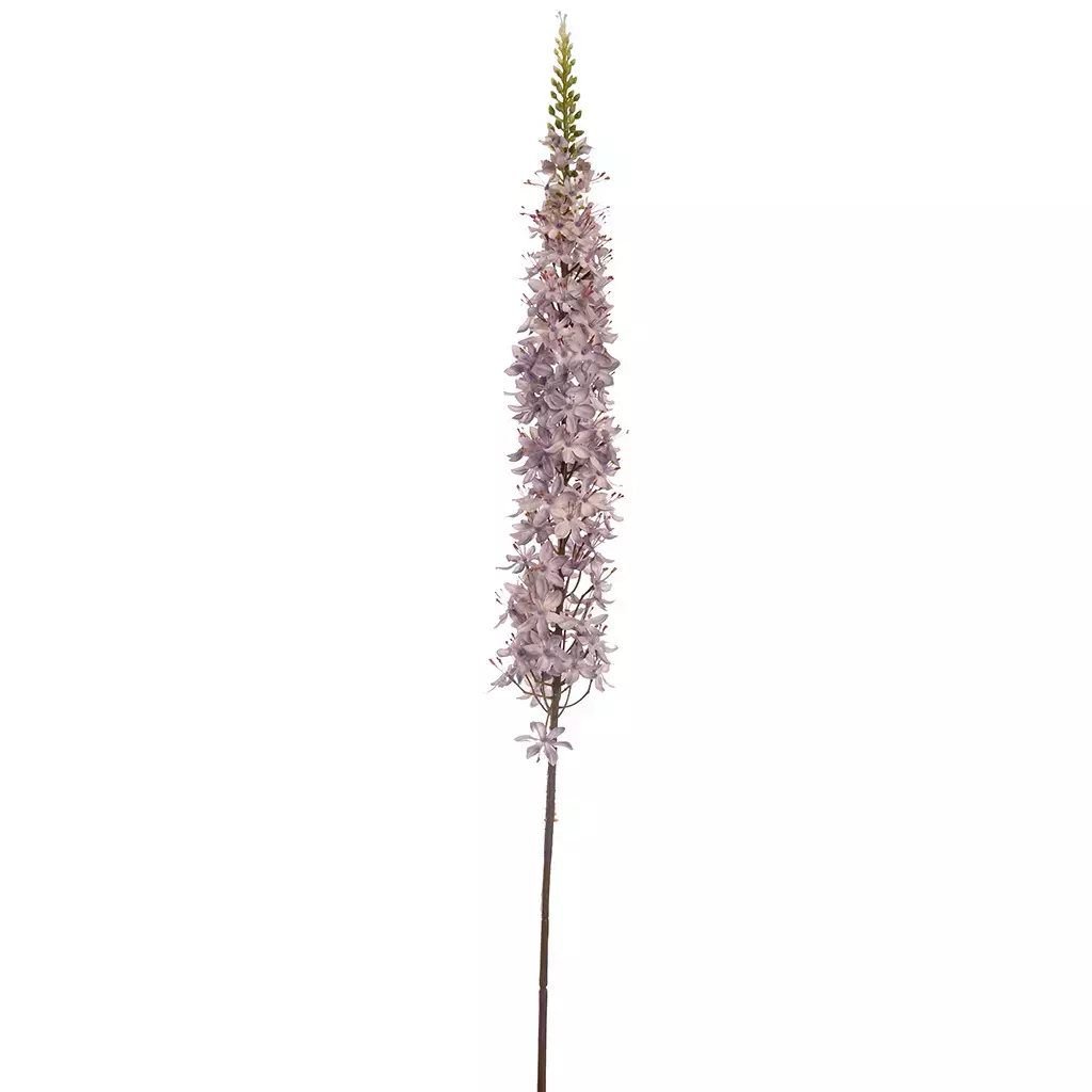Kunstbloem Eremurus 110cm - Lila