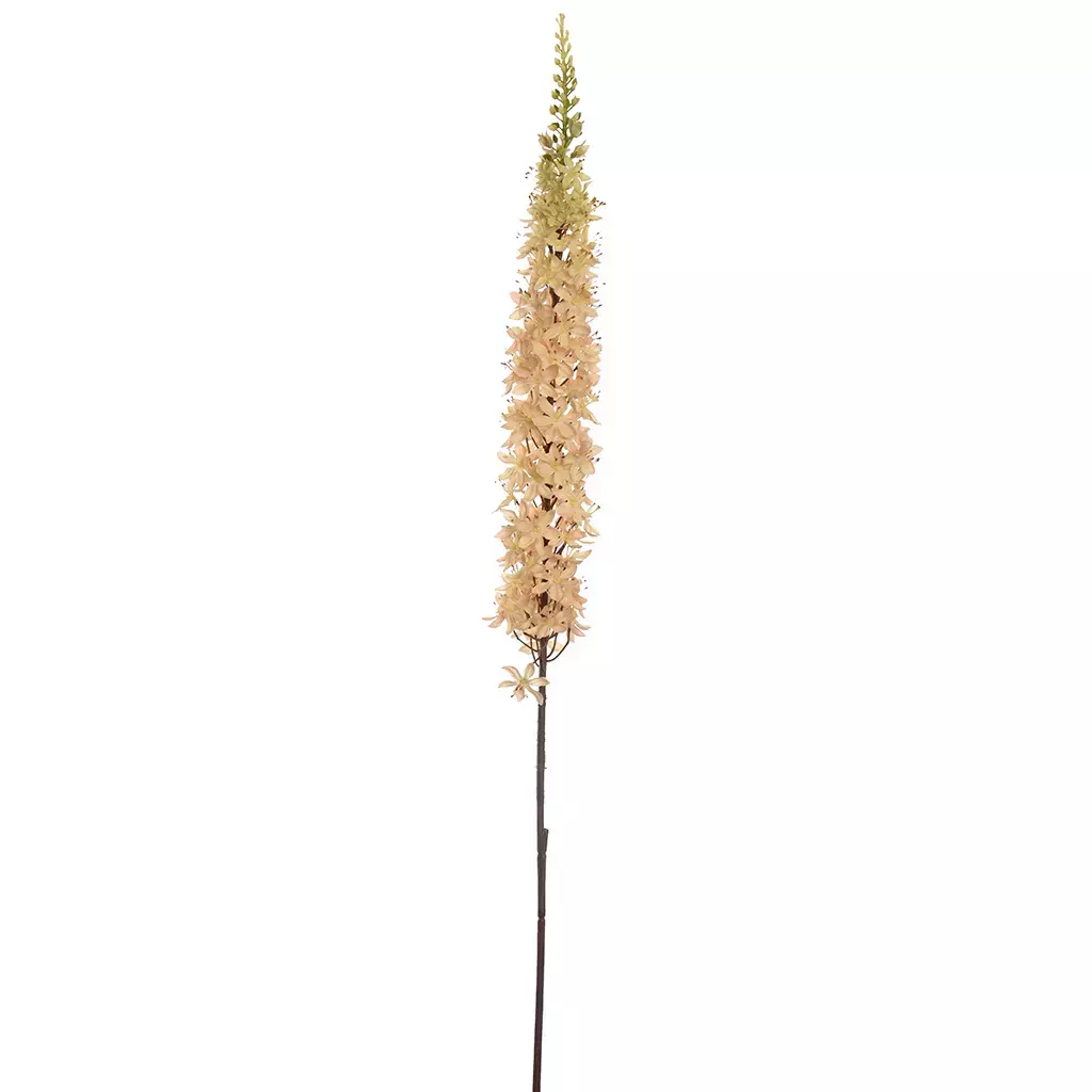 Kunstbloem Eremurus 110cm - Vanille