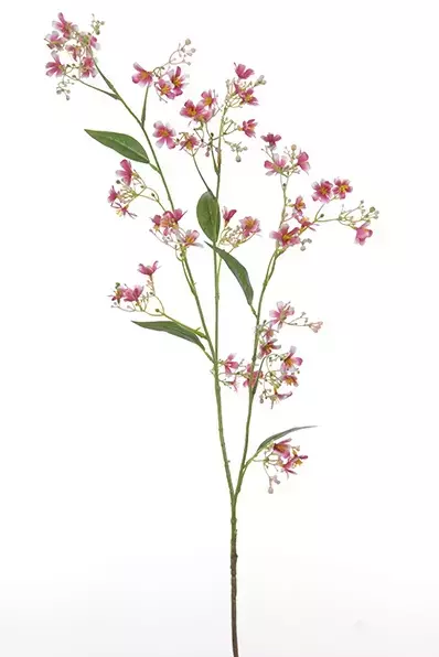 Kunstbloem Heliophila 110cm - Cerise