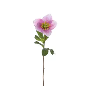 Kunstbloem Helleborussteel 40cm - lavendel