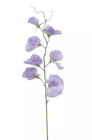 Kunstbloem Lathyrus 50cm - Lila