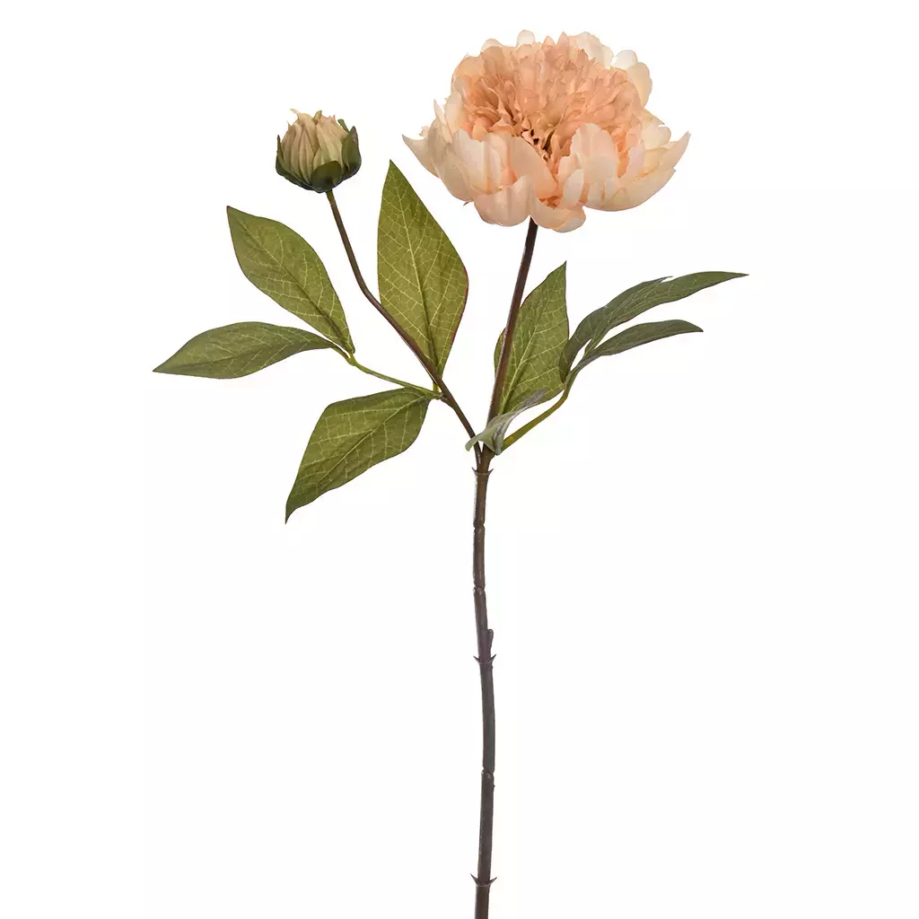 Kunstbloem Pioenroos 66cm - Vanille