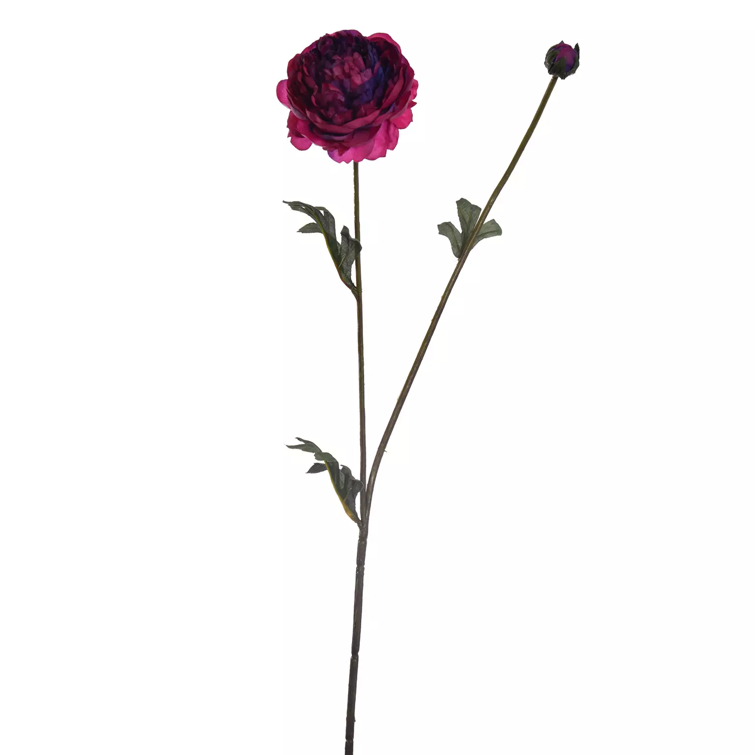 Kunstbloem Ranankel 62cm - Beauty