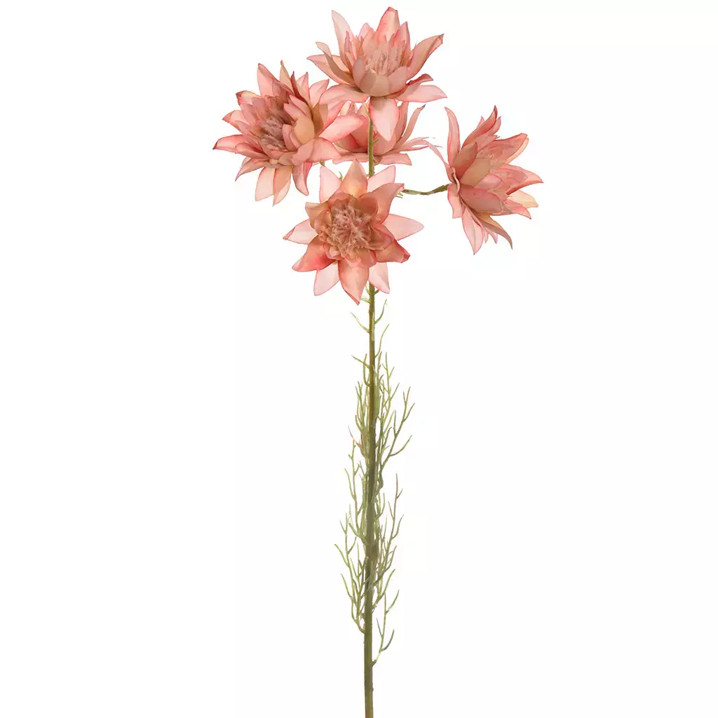 Kunstbloem Serruria 64cm - Perzik