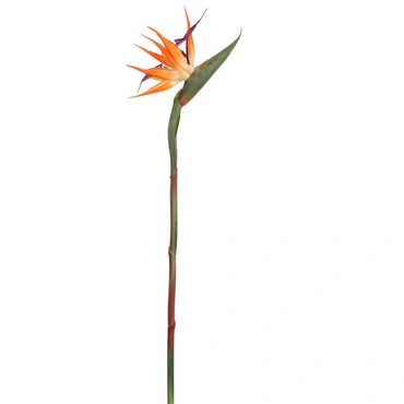 Kunstbloem Strelitziatak 58cm - oranje