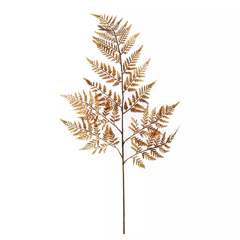 Kunstbloem Varenblad 75cm - Bruin