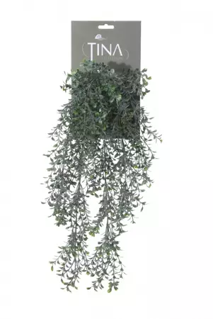 Kunsthangplant Buxus l50cm groen pdr header