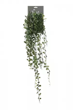 Kunsthangplant Dischidia l85cm groen