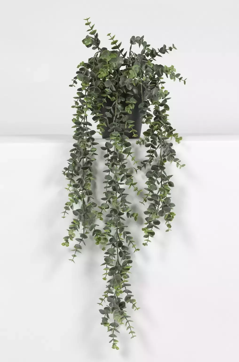 Kunsthangplant Eucalypthus in pot