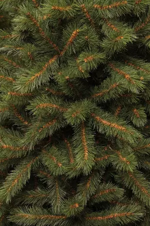 Kunstkerstboom kingston d86h155cm groen