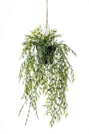 Kunst Hangplant Bamboo