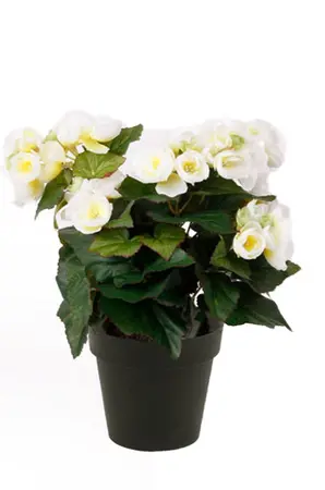 Kunstplant begonia creme