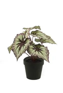 Kunstplant begonia