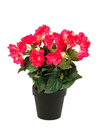 Kunstplant begonia roze