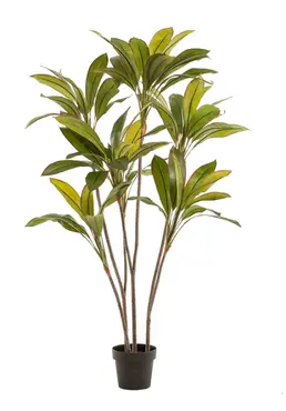 Kunstplant Cordyline - 160cm