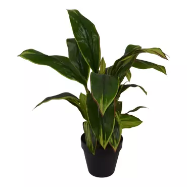 Kunstplant Cordyline breedbladig in pot h65 grn