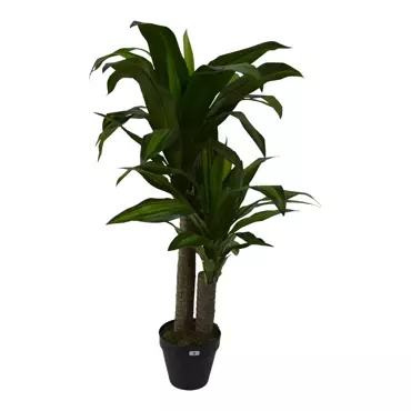 Kunstplant Dracaena fragans in pot h90cm groen