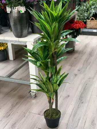 Kunstplant Dracaena lemon lime - h120cm - afbeelding 1