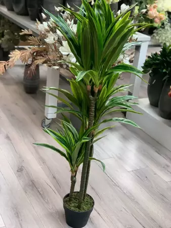 Kunstplant Dracaena lemon lime - h120cm - afbeelding 2