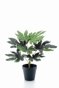 Kunstplant Fatsia