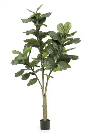 Kunstplant Ficus Lyrata - 180cm