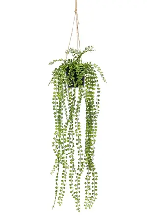 Kunstplant Ficus Pumila hangend in pot - 60cm 