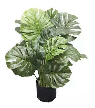 Kunstplant Monstera i/pot h60cm - afbeelding 1