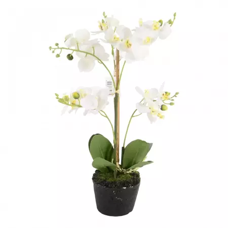 Kunstplant orchidee mini wit  - 3 tak h38cm