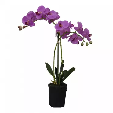Kunstplant orchidee roze - 2 tak h54cm