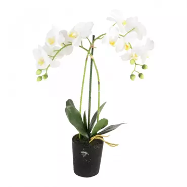 Kunstplant orchidee wit - 2 tak h53cm