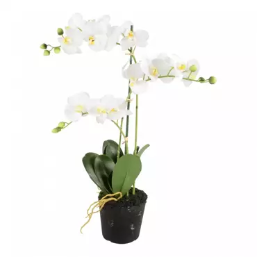 Kunstplant orchidee wit - 3 tak h64cm