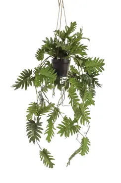 Kunstplant Philodendron hangend in pot