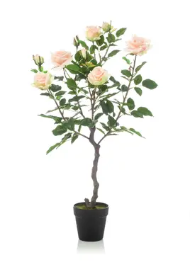 Kunstplant Roos op stam Perzik - 85cm